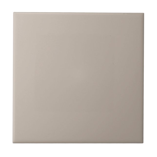 Diversely Beige Square Kitchen and Bathroom Ceramic Tile (Front)