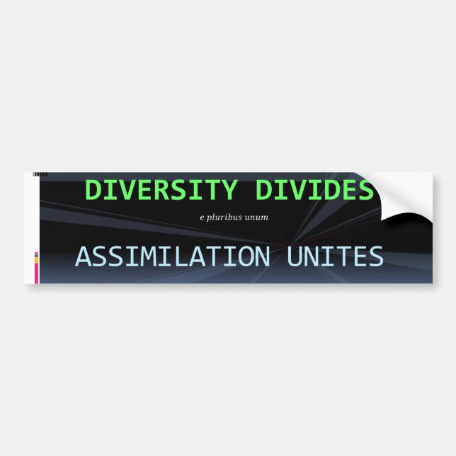Diversity blows bumper sticker (Front)