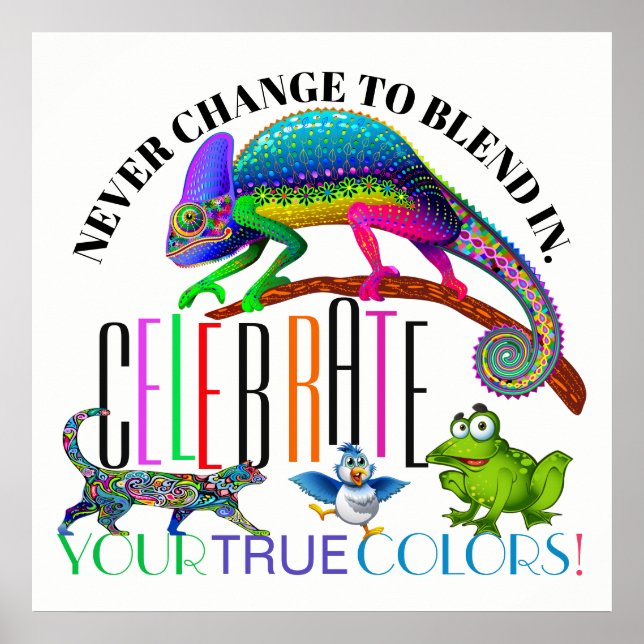 Diversity Encouragement Acceptance Poster (Front)