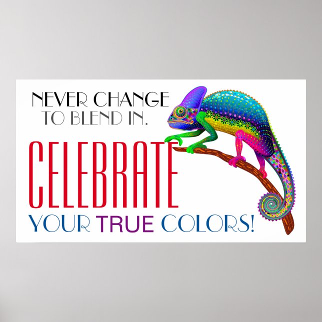 Diversity Encouragement Acceptance Poster (Front)