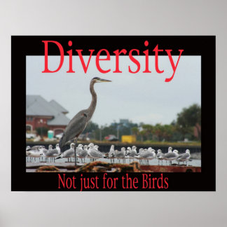 Diversity, not just for the birds poster
