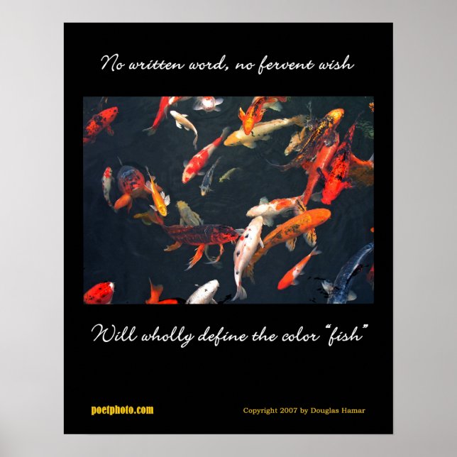 Diversity poster (Front)