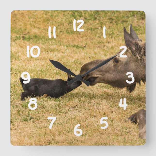 Diversity Square Wall Clock (Front)