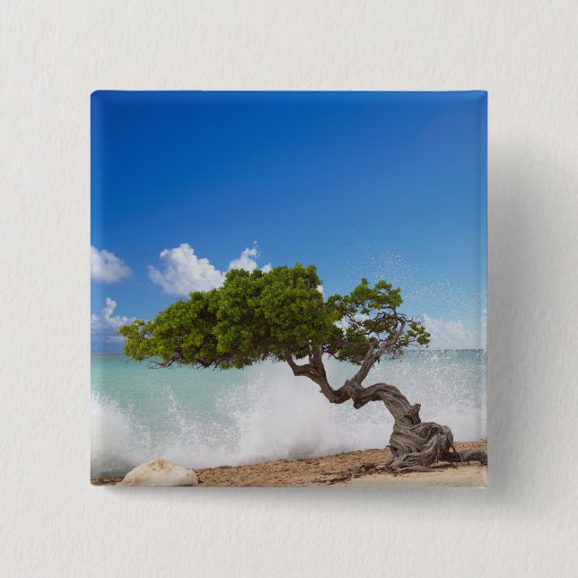 Divi Divi Tree, Eagle Beach, Aruba, Caribbean 15 Cm Square Badge (Front)