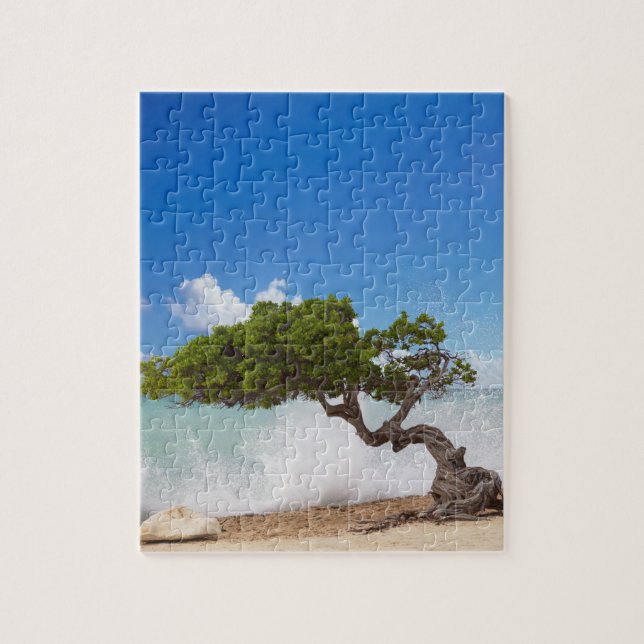 Divi Divi Tree, Eagle Beach, Aruba, Caribbean Jigsaw Puzzle (Vertical)