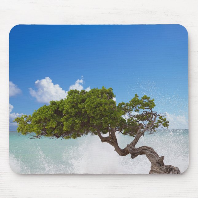 Divi Divi Tree, Eagle Beach, Aruba, Caribbean Mouse Pad (Front)
