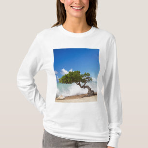 Divi Divi Tree, Eagle Beach, Aruba, Caribbean T-Shirt
