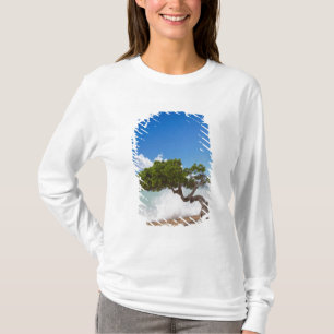Divi Divi Tree, Eagle Beach, Aruba, Caribbean T-Shirt