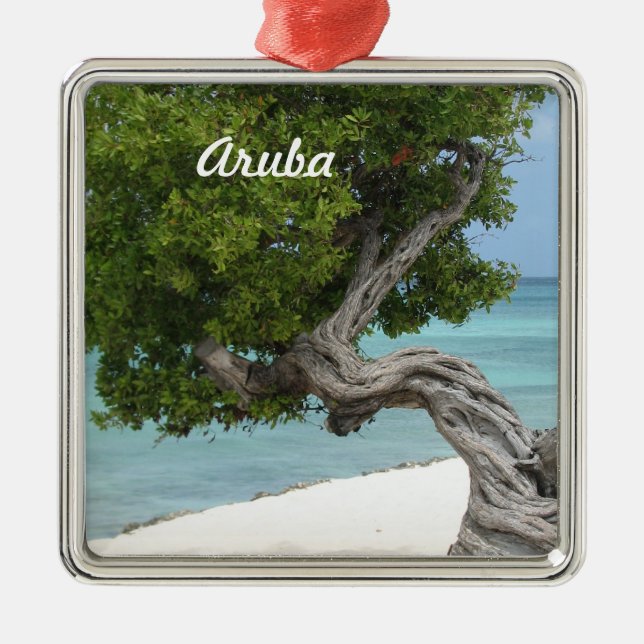 Divi Divi Tree in Aruba Metal Tree Decoration (Front)