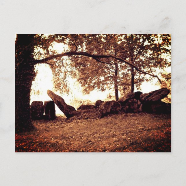 Divine Archive Postcard (Front)