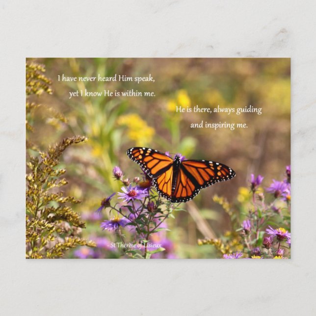 Divine Guidance Postcard (Front)