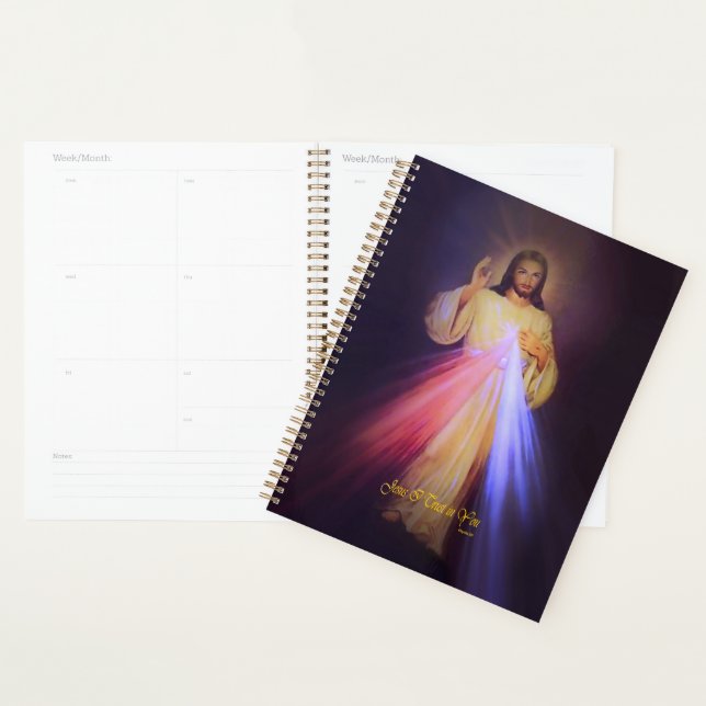 Divine Mercy Gold with Chaplet Prayer Planner (Display)