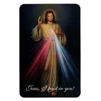 Divine Mercy Jesus I Trust In You! Magnet