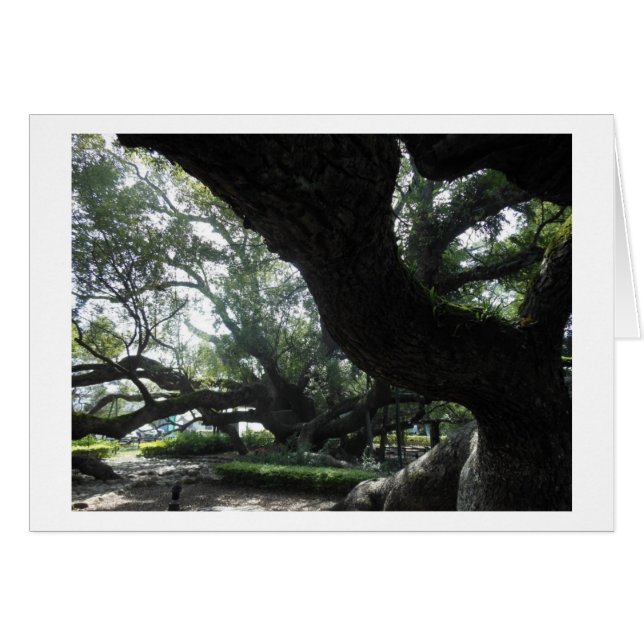 Divine Tree Card (Front Horizontal)