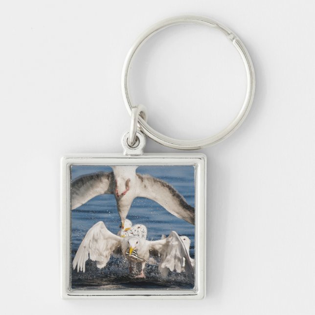 Diving Gulls Key Ring (Front)