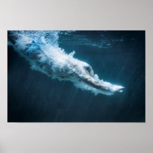 diving man poster