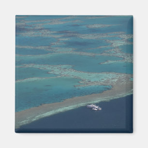 Diving platforms near reef, Great Barrier Magnet