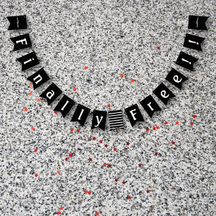 Divorce Party Celebration Ex Hubby Start Packing Bunting