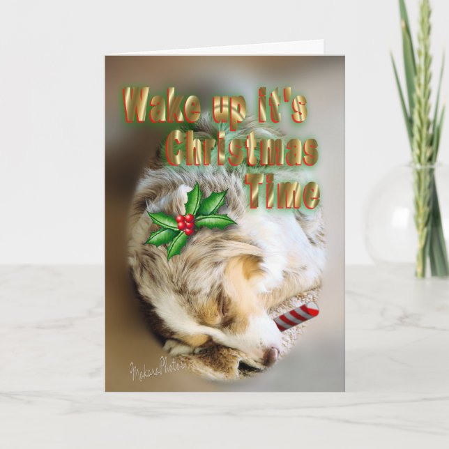 Dixie Christmas card-customise Holiday Card (Front)