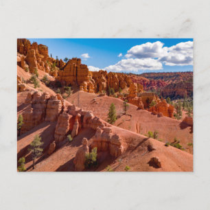 Dixie National Forest Landscape Photo Postcard