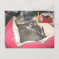 Dixie & Peanut in Peanut's bed