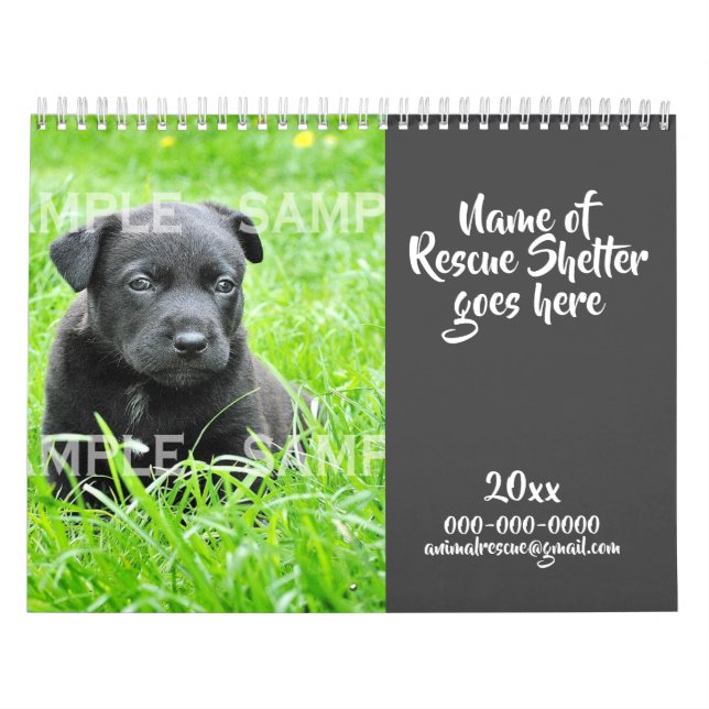 DIY animal rescue photo fundraising charity year Calendar (Cover)