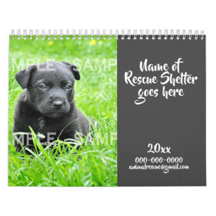 DIY animal rescue photo fundraising charity year Calendar