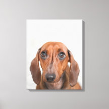 DIY Canvas Wall Art -  Upload your photo!