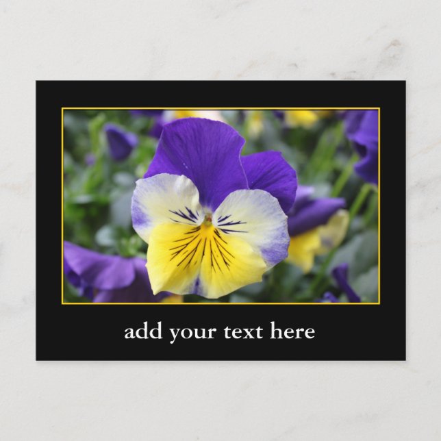 DIY, Create your own, add your picture or text. Postcard (Front)