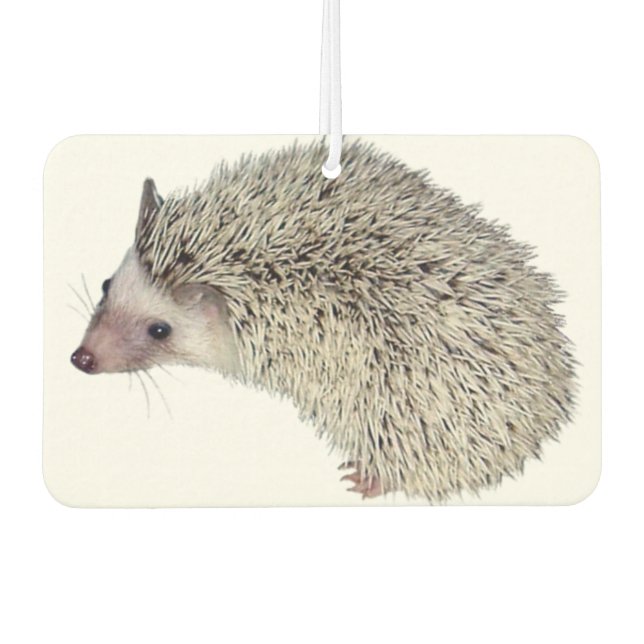 DIY Hedgehog air freshener (Front)