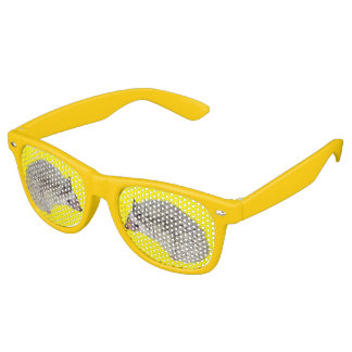 DIY Hedgehog shades 2