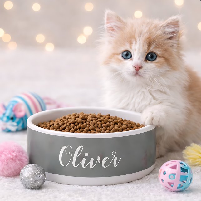 DIY Pet Bowl | Custom Name, Colour, Text (Creator Uploaded)