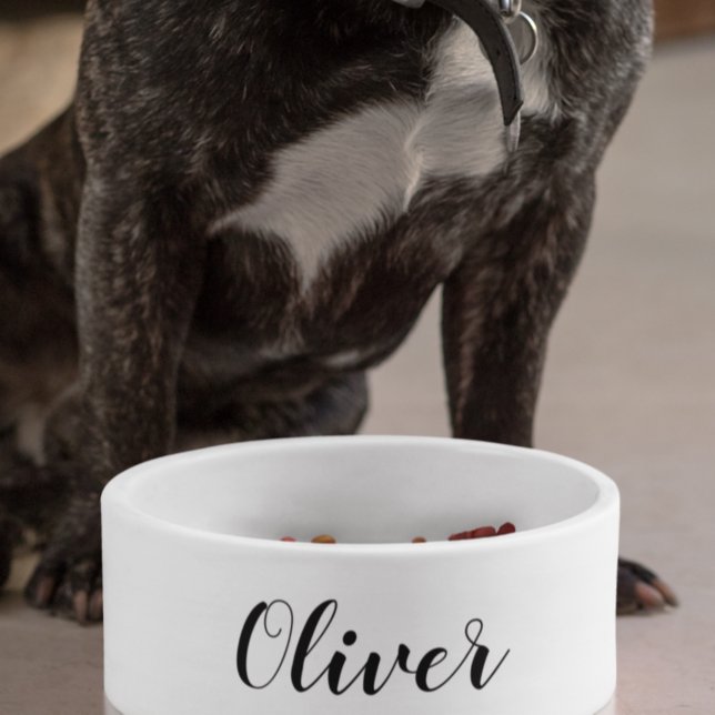 DIY Pet Bowl | Custom Name, Colour, Text (Creator Uploaded)