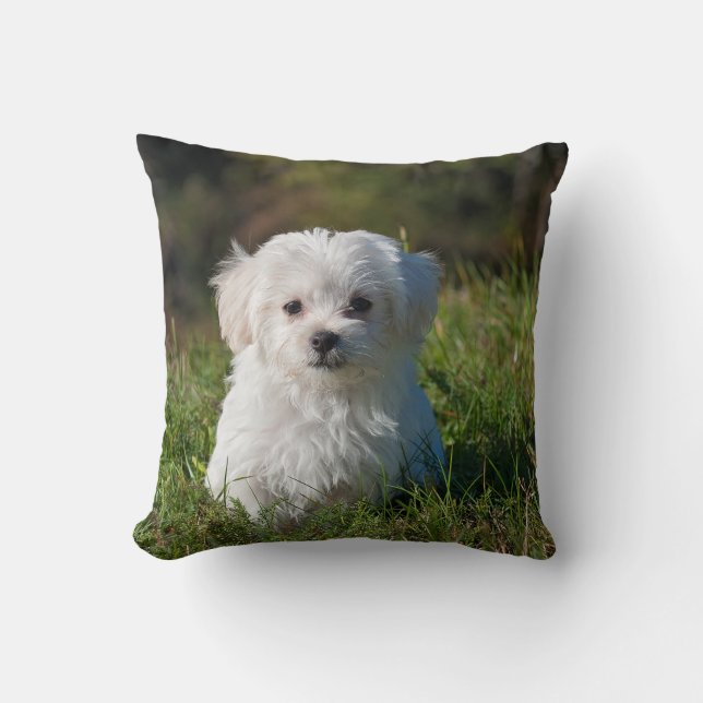 DIY - Print on a PILLOW - Add image and text (Front)