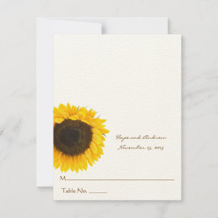 DIY You Score and Fold Tent Wedding Place Cards