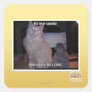 diz mai squidz square sticker