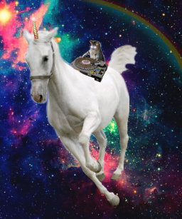 Unicorn Cat Riding Cat Unicorn T Shirts Shirt Designs Zazzle Com Au