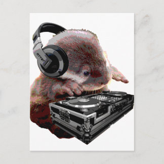 DJ None Otter Postcard
