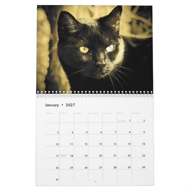DJ's Cat Style in Black and White Calendar (Jan 2027)