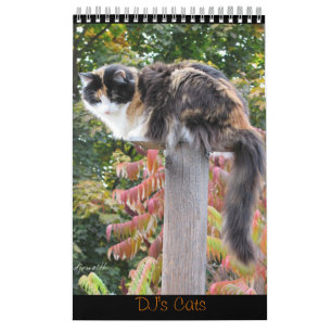 DJ's Cats One Page Calendar