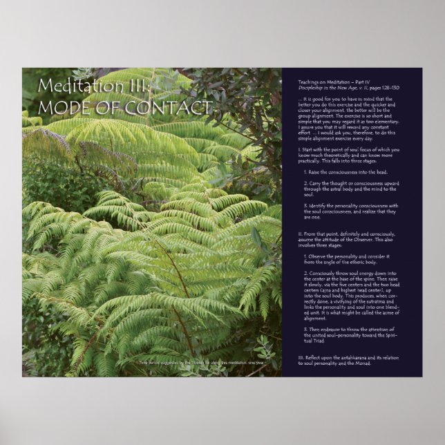 DK Meditation Series: Meditation III Poster (Front)