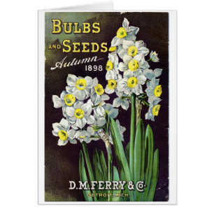 DM Ferry Seeds and Bulbs 1898