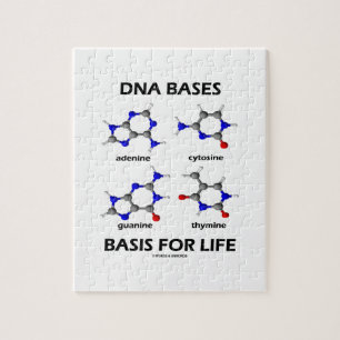 DNA Bases Basis For Life (Molecular Structure) Jigsaw Puzzle