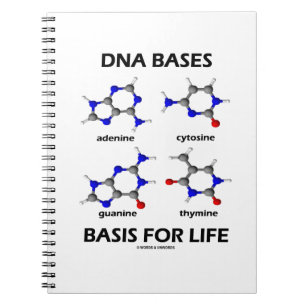 DNA Bases Basis For Life Molecular Structure Notebook