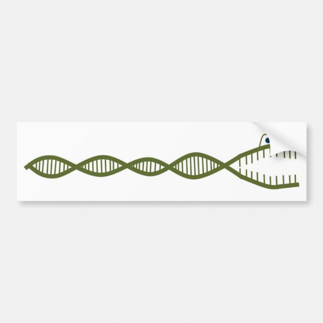 DNA BUMPER STICKER (Front)