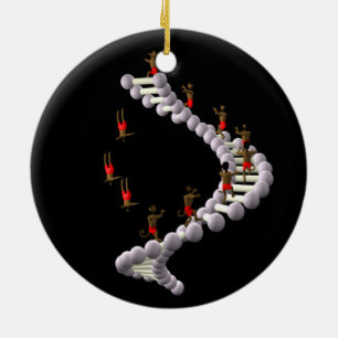 DNA: Darwin's Evolution Ceramic Ornament