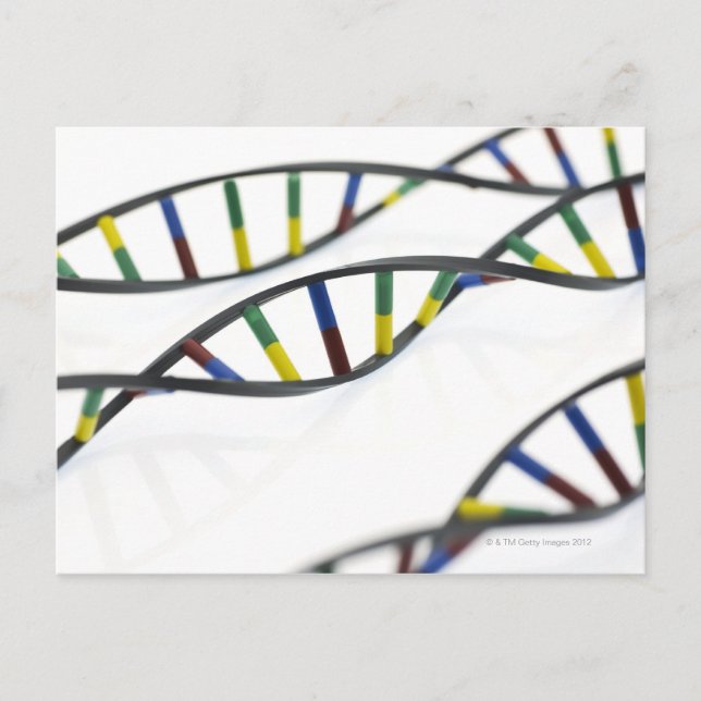 DNA (deoxyribonucleic acid) molecules. Postcard (Front)