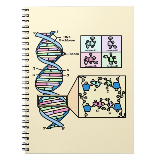 DNA Diagram Notebook (Front)