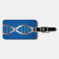 DNA Double Helix