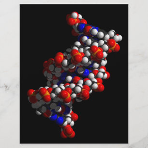 DNA Double Helix Model Flyer